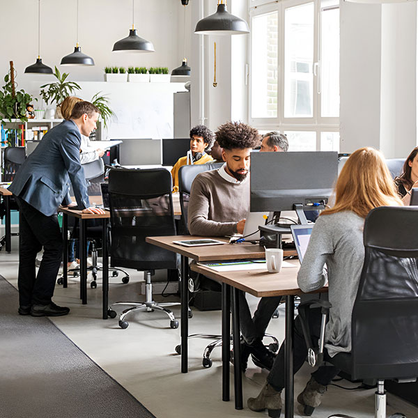 Logic8 team collaborating on AI solutions